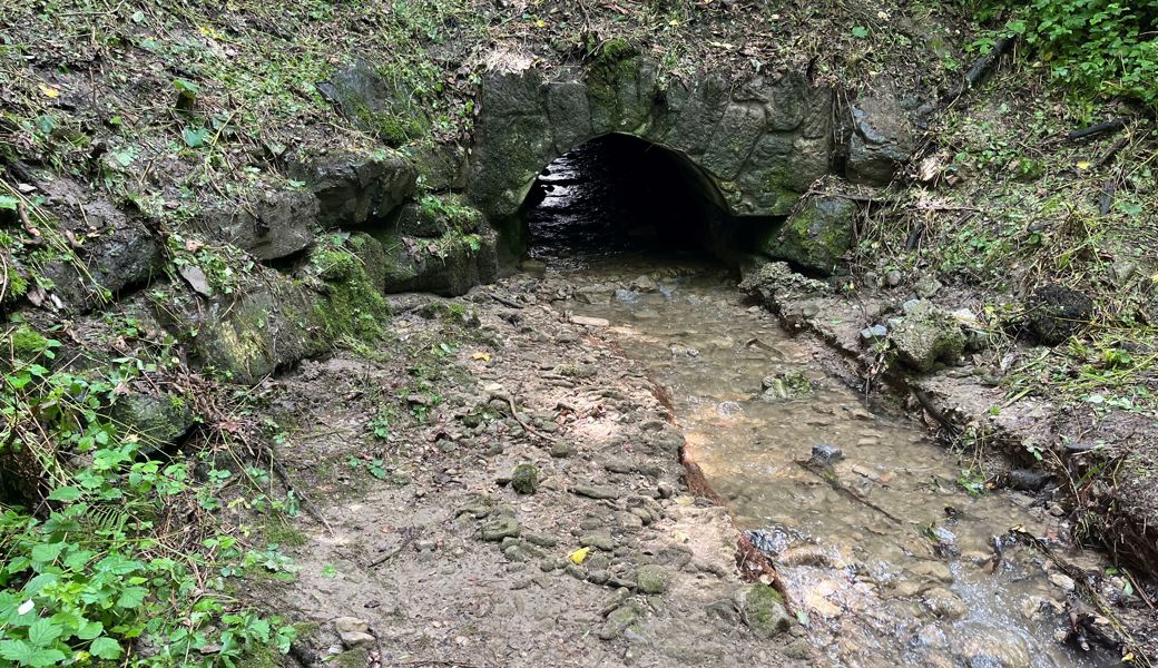 Ablagerungen im Groppenbach gefährden den Hochwasserschutz