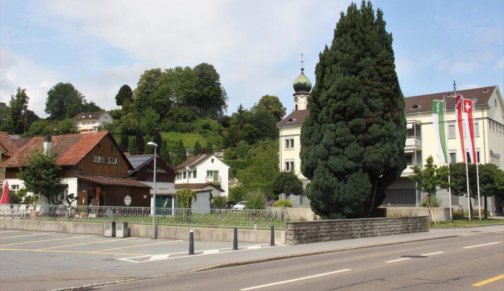 Rheineck (E), Altstätten (S), Thal (N), Rebstein (G)