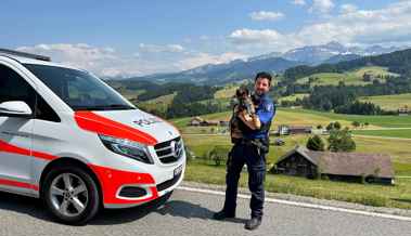 Junghund Linox verstärkt die Kantonspolizei, darf aber noch nicht Verbrecher jagen