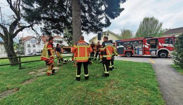 Was es braucht, um Offizier bei der Feuerwehr zu werden 