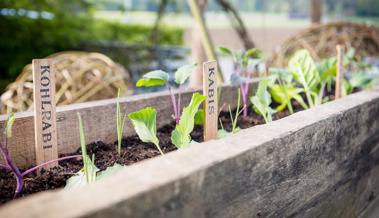 Urban Farming in der Altstadt