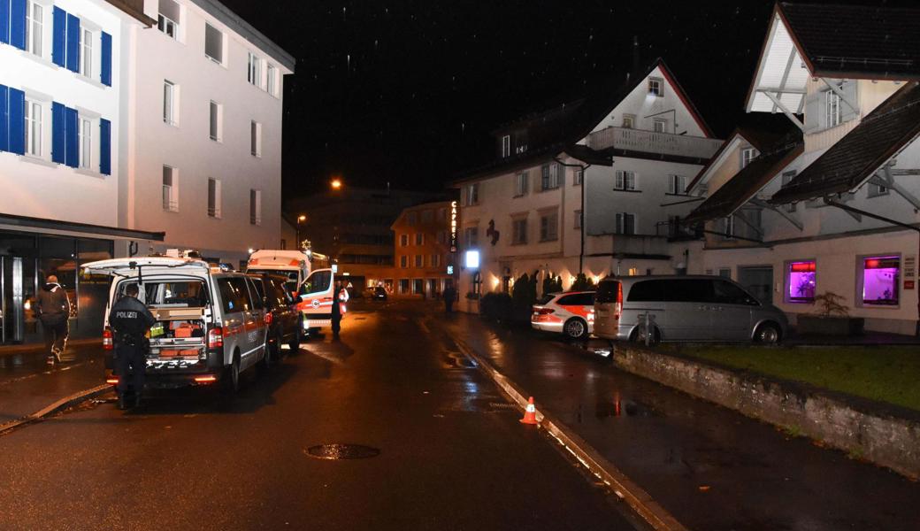 Eine Fussgängerin rannte wegen ihrem Hund auf die Strasse.