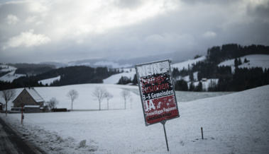 Das Vorderland wollte keine Fusionen von oben - ausser in Heiden