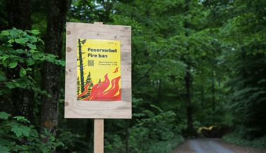 Lage hat sich wieder verschärft: bedingtes Feuerverbot im Wald und in Waldesnähe