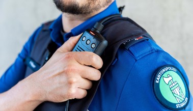 Einbruch am Wochenende: Diebe erbeuten in Einfamilienhaus mehrere tausend Franken
