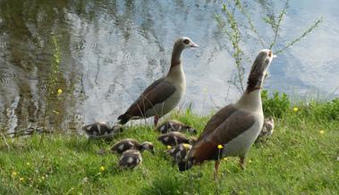 Tierischer Familienausflug