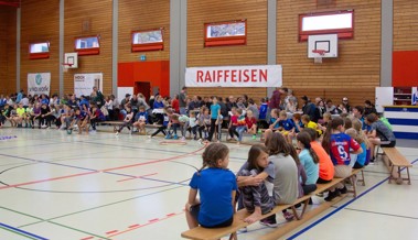 «Inselfäscht» und «Inselgames» auf der Rheininsel garantieren Sport, Spiel und Spass