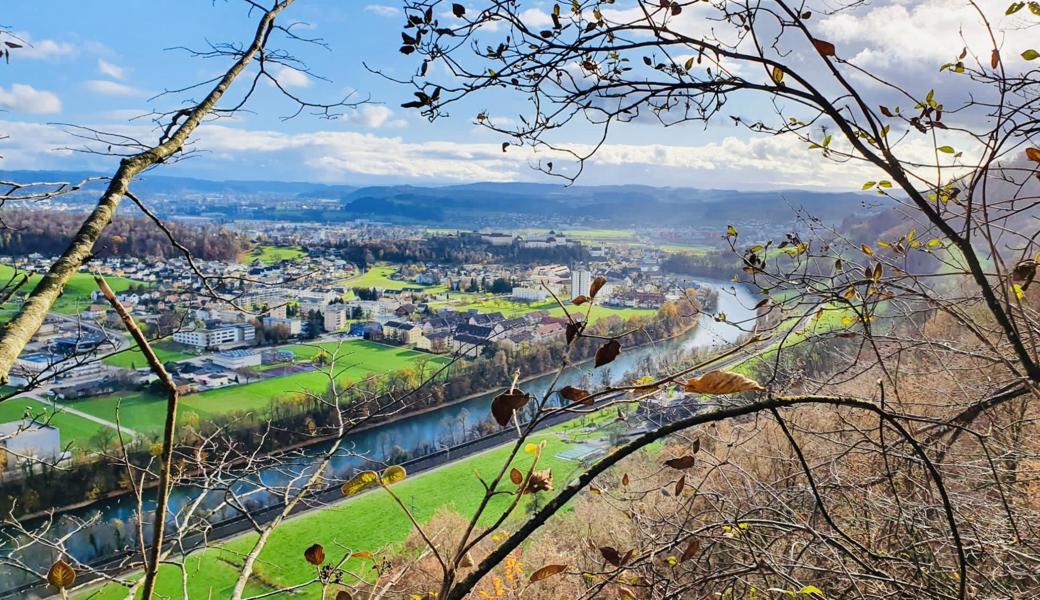 Wanderung Born Olten