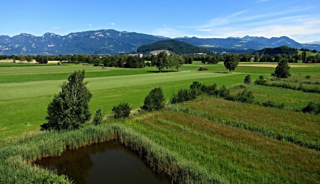 lm Bannriet wurden hohe Ammoniakkonzentrationen gemessen – ein Problem für Mensch und Natur. 