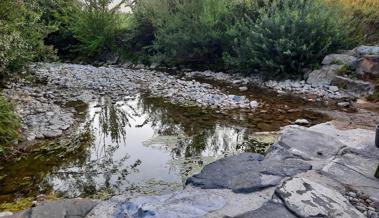 Niedrige Pegelstände und Trockenheit:  Wasserentnahme wird teilweise eingeschränkt
