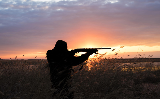 Nicht viel zu jagen: Niemand will das Jagdrevier Widnau