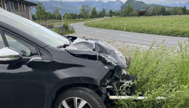 Fahrer verursacht unter Alkoholeinfluss Selbstunfall - Führerausweis entzogen