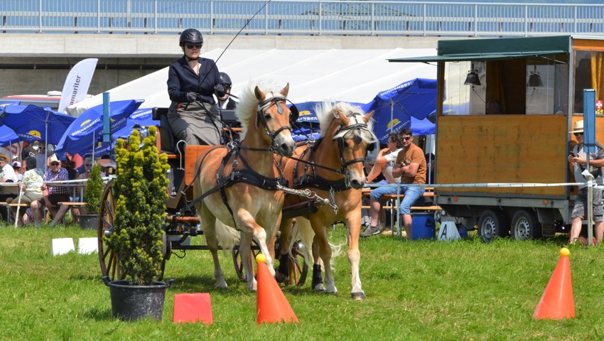 Bettina Baumgärtner mit Artus und Nosef von der siegreichen Bündner Equipe.