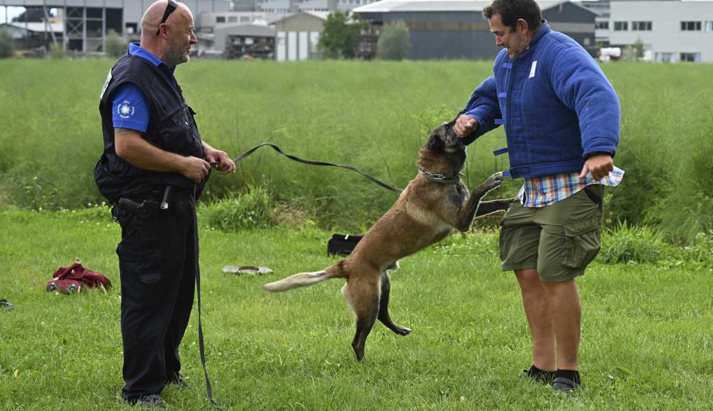 Ein Besucher bewies Mut und ging mit dem Diensthund Sec auf Tuchfühlung