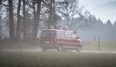 Mehr Sirenen auf Autos als Dächern und weshalb diese heute stumm bleiben