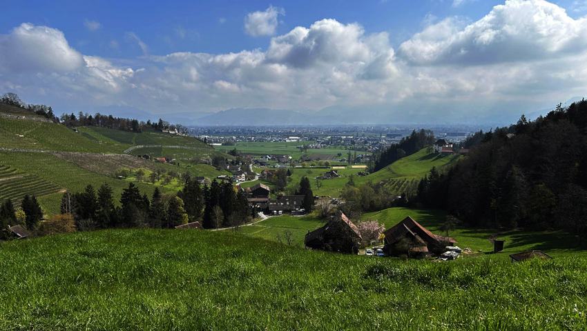 Blick vom Rheintaler Höhenweg in Berneck.