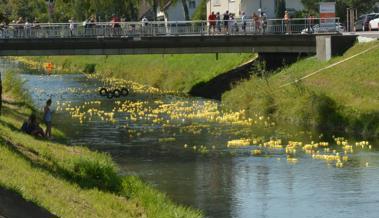 14. «Rheintaler»-Entenrennen mit Jubiläumsente