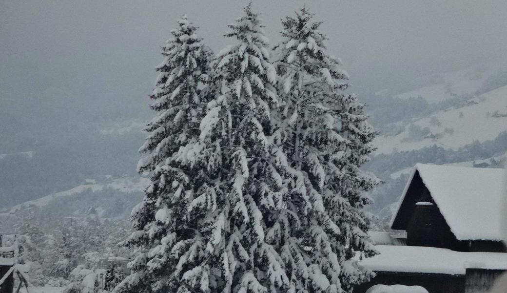 Wolfgang Morgenstern aus Widnau fing gleich mehrere Winterstimmungen ein.