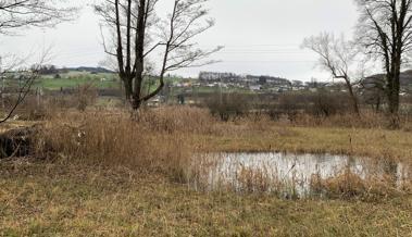 Pro-Natura-Exkursion in die Schutzgebiete Buriet / Buechsee