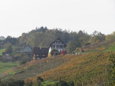 Junger Wein fliesst aus dem uralten Torkel im Bernecker Weiler Husen