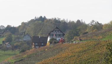 Junger Wein fliesst aus dem uralten Torkel im Bernecker Weiler Husen