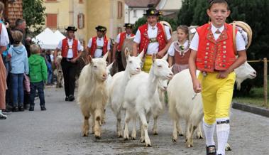 Alle Viehschauen sind abgesagt