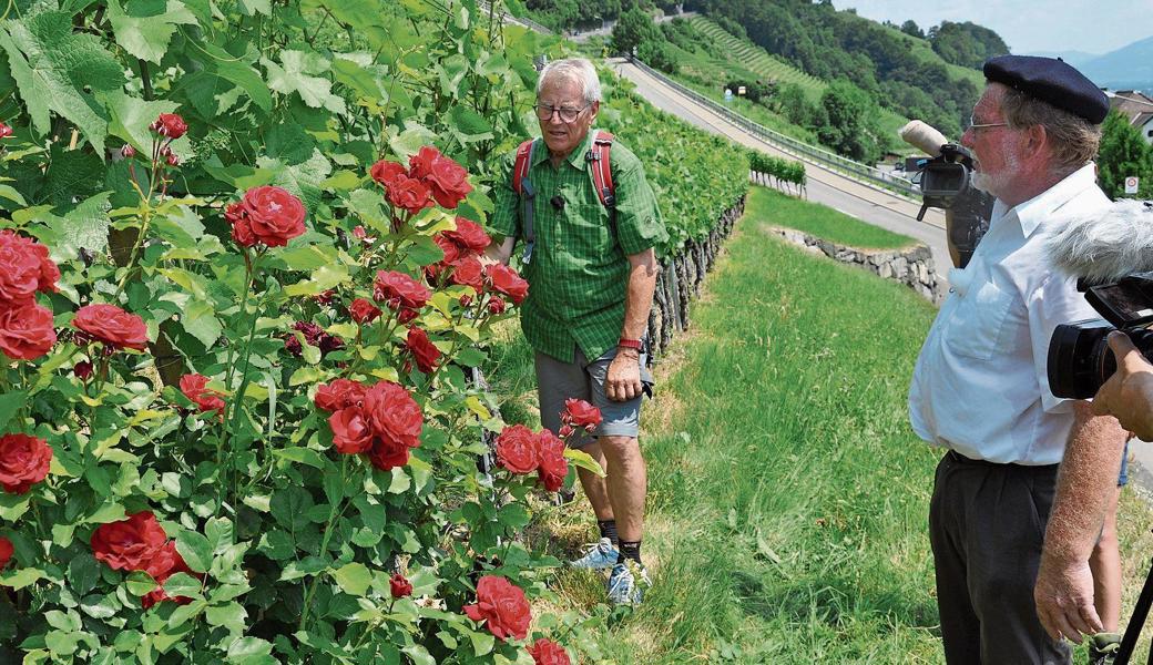 Im letzten Sommer wanderte Victor Rohner entlang der Bernecker Reben.