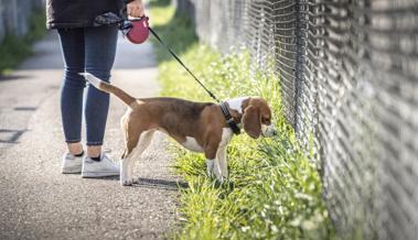 Hundereglement aufgehoben