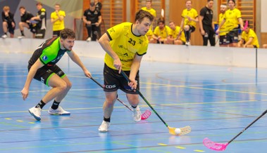 Gators glänzen zwar nicht, klettern aber auf den dritten Rang