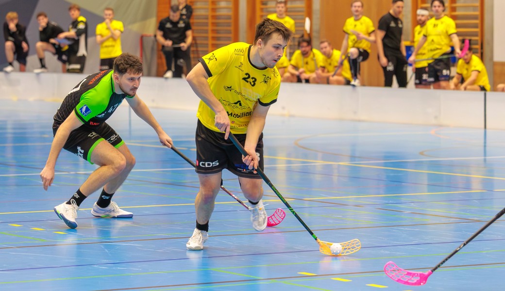 Gators glänzen zwar nicht, klettern aber auf den dritten Rang