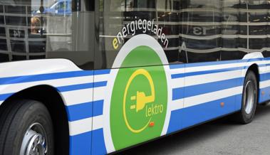 E-Busbestellung den Bären aufgesetzt