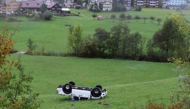 Das Wiesenbord hinab überschlagen