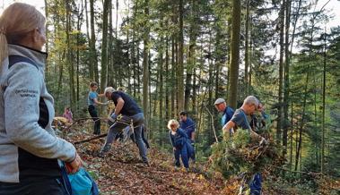 Gemeinwerk im Wald der Ortsgemeinde