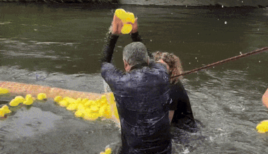 So viele waren es noch nie: 4320 Enten schwammen im Kanal