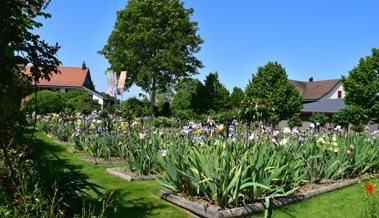 Die Ostschweiz, das Gartenparadies: Neun Gärten zum Entdecken