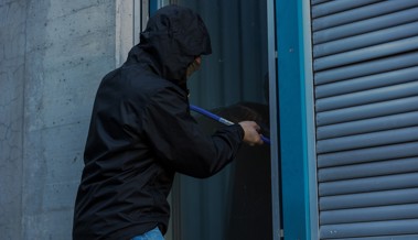 Einbrecher in drei Rheintaler Gemeinden unterwegs – Ziel waren jeweils Einfamilienhäuser