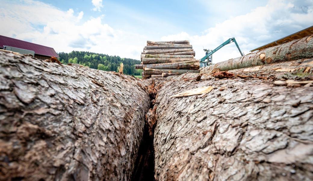Die Nachfrage nach Holz ist in jüngerer Zeit stark gestiegen. Das hat sich zuerst auf die Preise für Schnittholz ausgewirkt. Inzwischen ist auch das Rundholz teurer geworden, sodass die Waldbesitzer, namentlich diverse Ortsgemeinden, mehr einnehmen. 