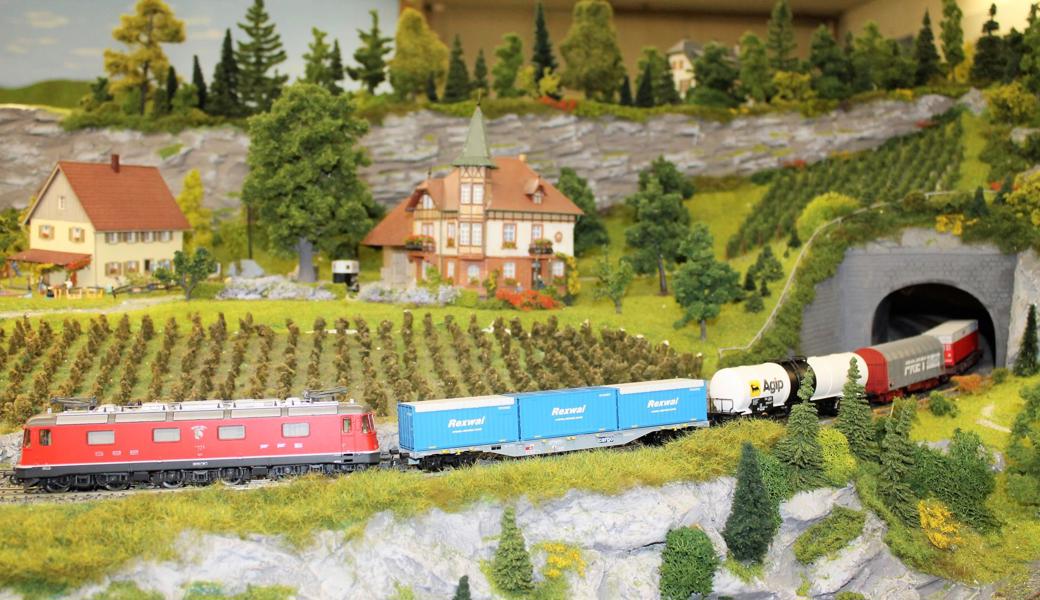 Die detailreichen Modelleisenbahn-Landschaften lassen kleine und grosse Besucher staunen. 