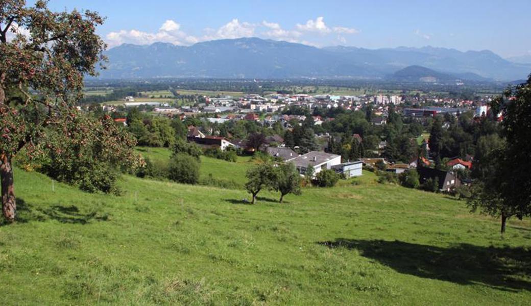 Eine weitere Parzelle soll durch eine 17 Meter lange Strasse angeschlossen werden.