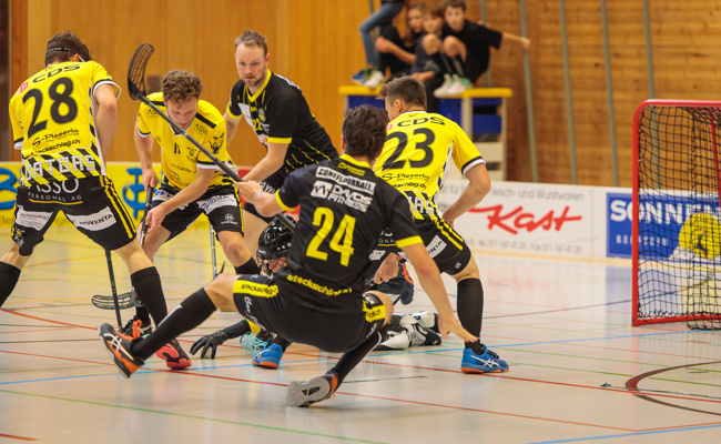 Gators kassieren Kanterniederlage bei den Eisernen Murmeltieren