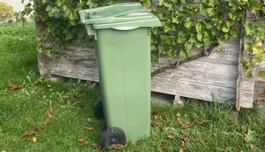 Gleicher Abfall, andere Rechnung: Beim Grüngut entscheidet der Wohnort