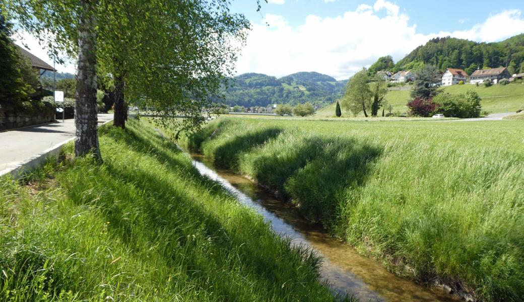 Der Littenbach mit dem Gebiet Kobel im Hintergrund.