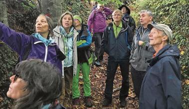 Baum-Wanderung mit dem Naturschutzverein