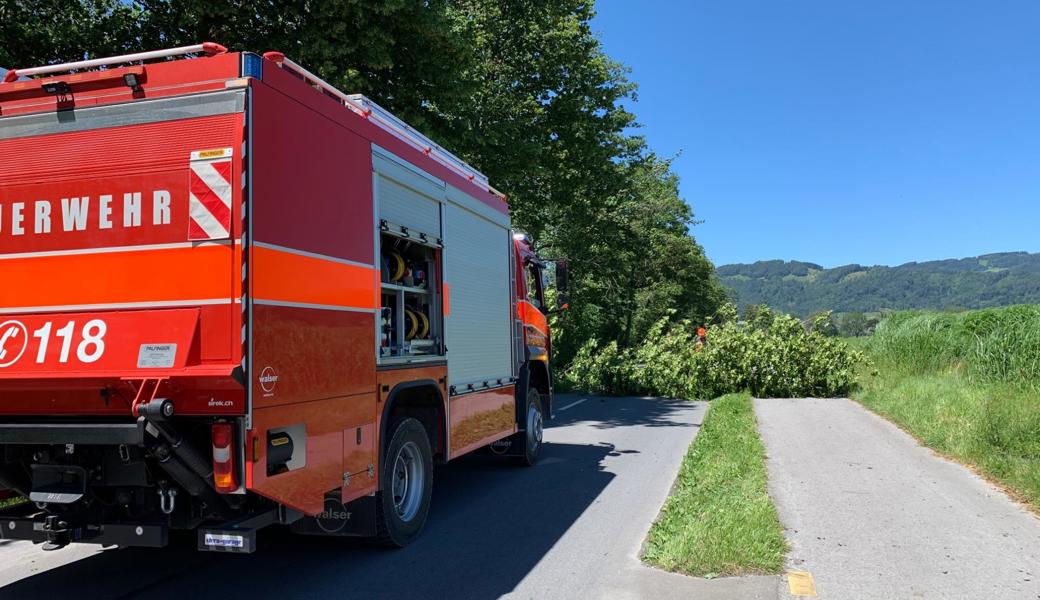 Die Kompanie Widnau der Feuerwehr Mittelrheintal macht den Weg frei.