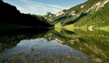 Entenflöhe im Sämtisersee: Das Gesundheitsamt empfiehlt, auf das Baden zu verzichten