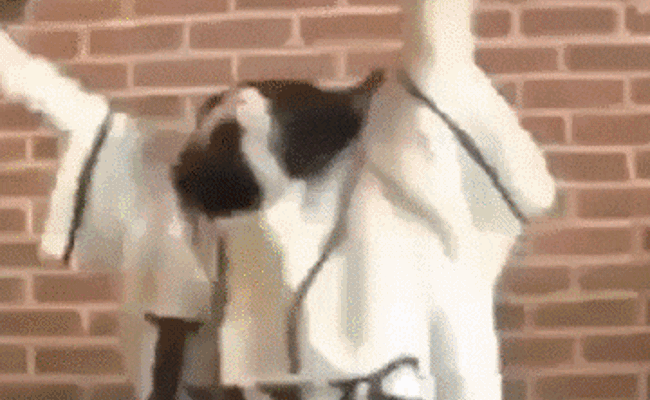 Rhema, Mittelaltermarkt und Kino  - das läuft am Wochenende