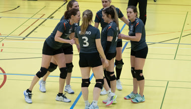 Rheno-Heimrunde am Samstag mit packenden Duellen: Volleyball-Teams im Endspurt der Saison