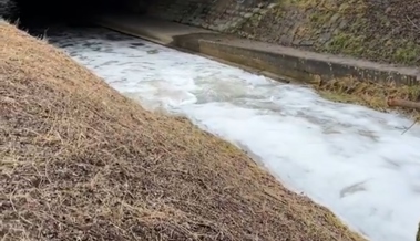 Betrieb entsorgte Reinigungsmittel illegal – Steinlibach begann zu schäumen
