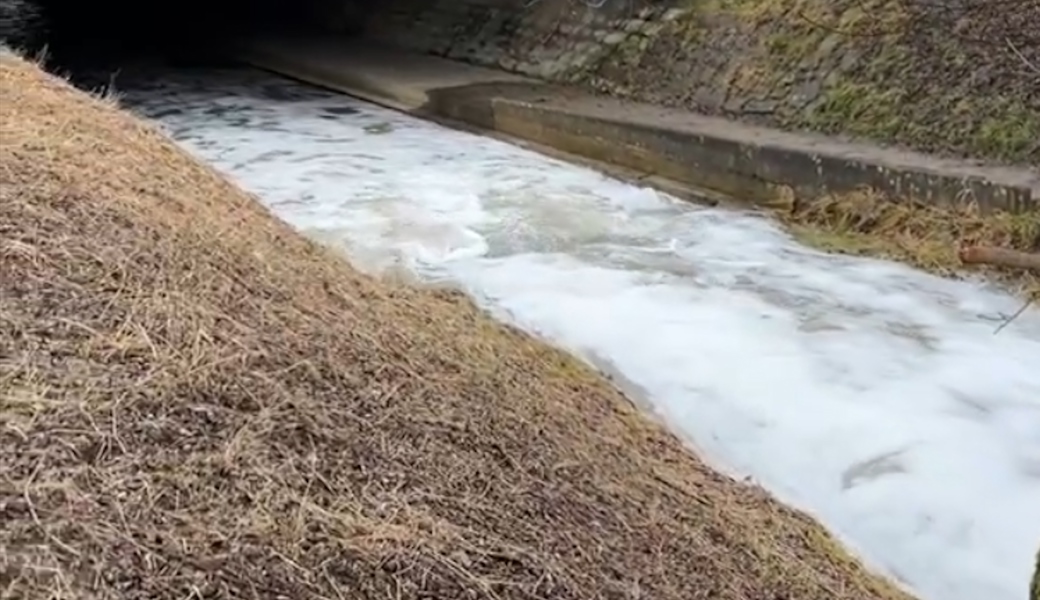 Betrieb entsorgte Reinigungsmittel illegal – Steinlibach begann zu schäumen