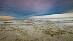 Wasserstandsmeldung: Eher eine Sumpflandschaft als das Ufer des Bodensees